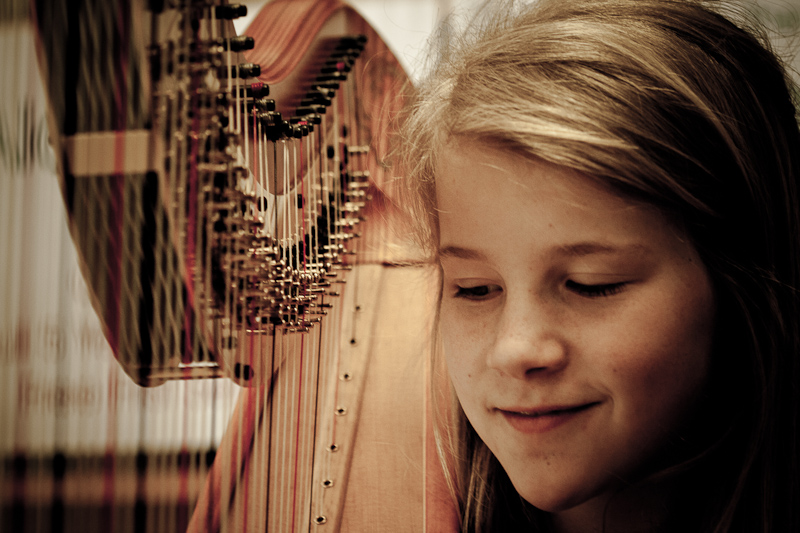 Harp Festival (17 of 54).jpg
